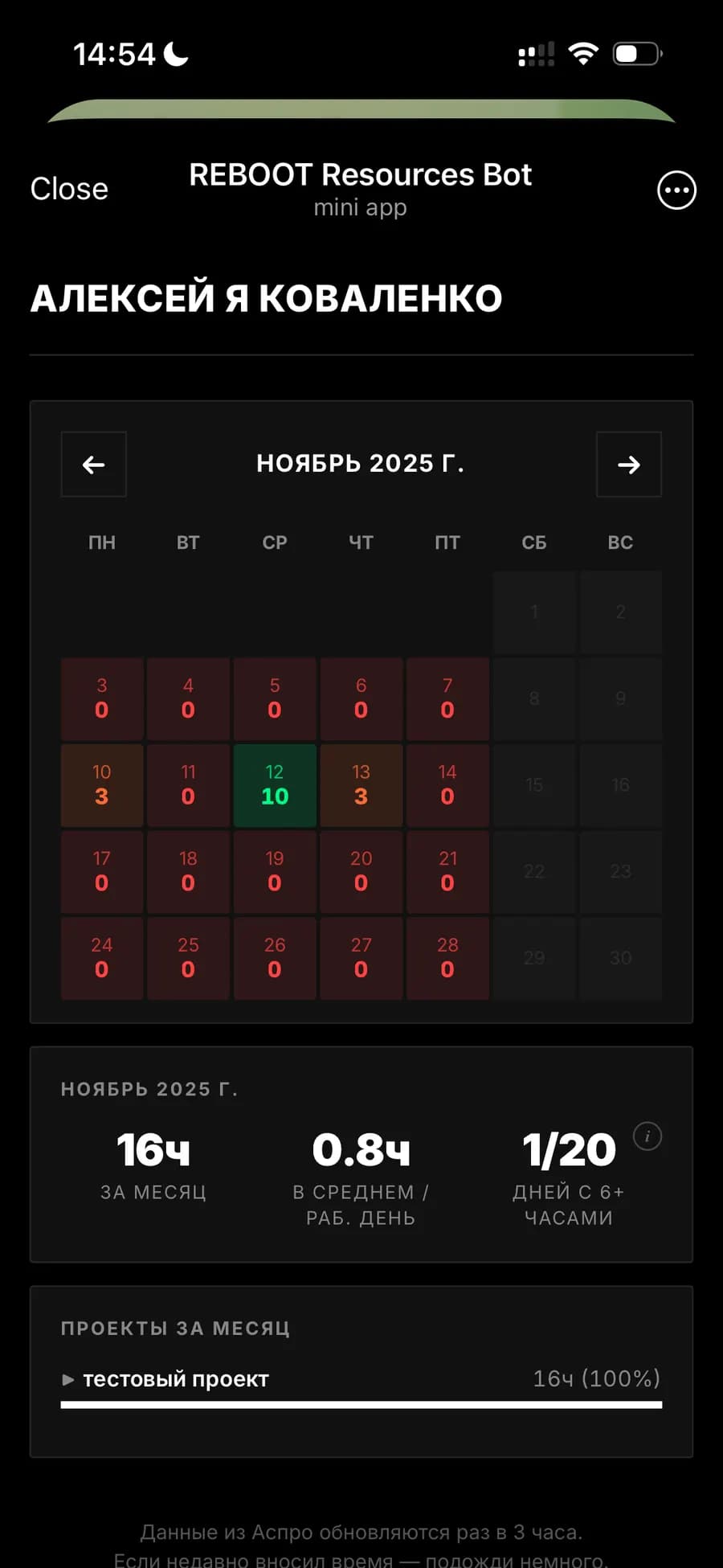 Telegram Mini App — personal hours dashboard: monthly calendar broken down by day, summary statistics, and project list